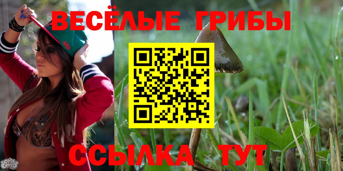 Псилоцибиновые грибы ЛСД  Краснокаменск 