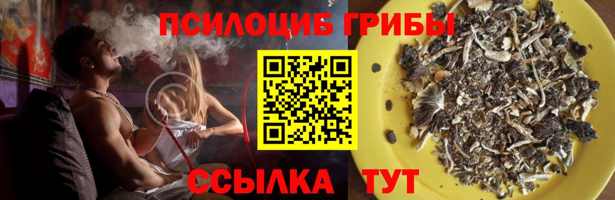 Псилоцибиновые грибы прущие грибы  Вход с VPN  Псилоцибиновые грибы Psilocybe  Краснокаменск 